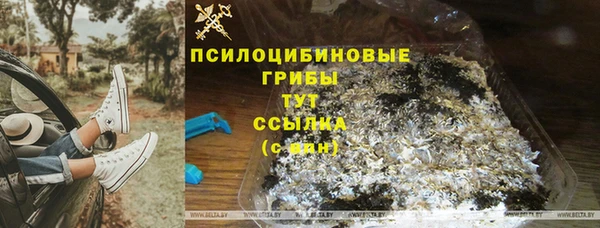 первитин Арсеньев