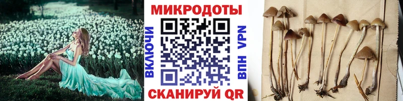 мега как войти  цена   Пустошка  Псилоцибиновые грибы мухоморы 